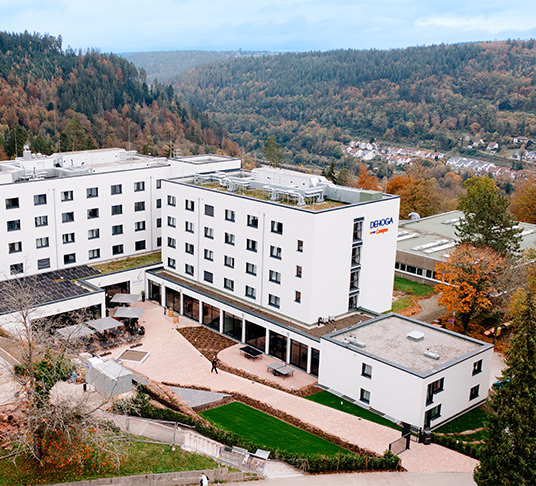 Bird's eye view of two campus buildings in front of a mixed forest